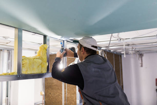 Best Basement Insulation  in Rose Hill, NC